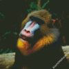 Aesthetic Mandrill diamond painting