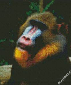 Aesthetic Mandrill diamond painting