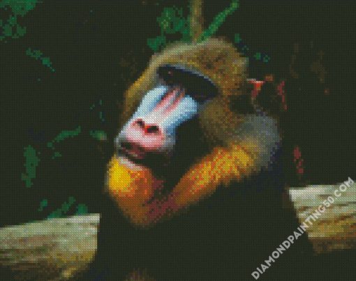 Aesthetic Mandrill diamond painting