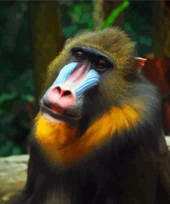 Aesthetic Mandrill diamond painting