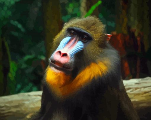 Aesthetic Mandrill diamond painting