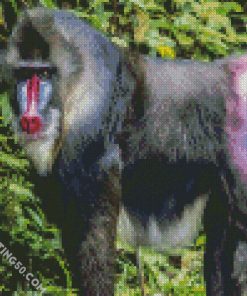 Aesthetic Mandrill Monkey diamond painting