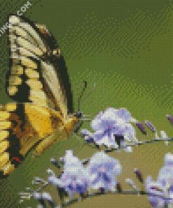 Aesthetic Butterfly diamond painting