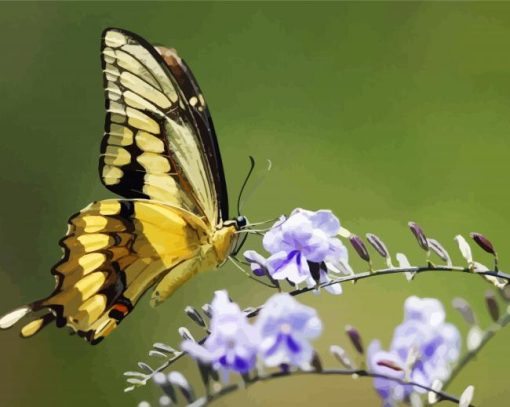 Aesthetic Butterfly diamond painting