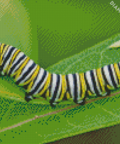 Caterpillar Insect Diamond Painting