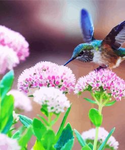 Beautiful Blue Hummingbird diamond painting