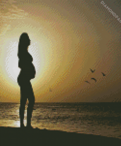 Beautiful Young Pregnant Woman Diamond Painting