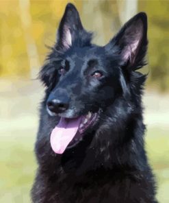 Black Belgian Shepherd diamond painting