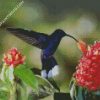 Blue Hummingbird diamond painting