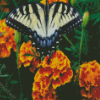 Butterfly Marigolds Diamond Painting