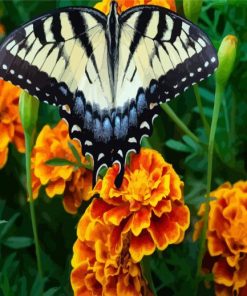 Butterfly Marigolds Diamond Painting