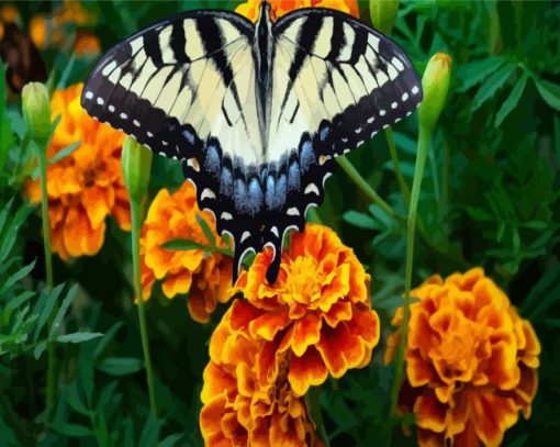 Butterfly Marigolds Diamond Painting