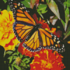 Butterfly On Marigolds Diamond Painting