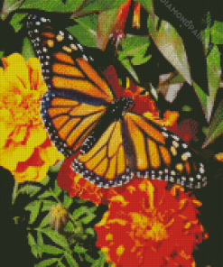 Butterfly On Marigolds Diamond Painting