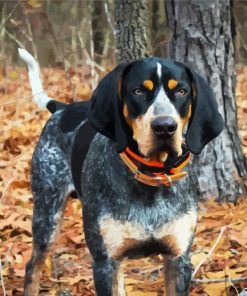 Coonhound Dog diamond painting