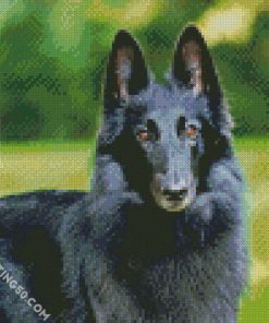 Cute Black Belgian Shepherd diamond painting