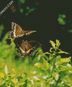 Flying Butterflies diamond painting