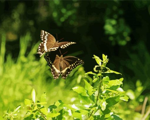 Flying Butterflies diamond painting