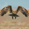 Flying Indian Spotted Eagle Bird Diamond Painting