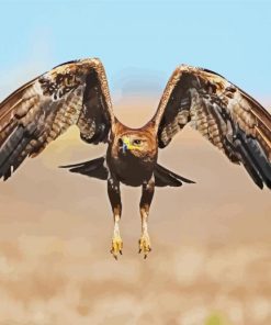 Flying Indian Spotted Eagle Bird Diamond Painting