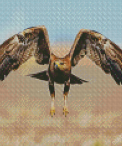 Flying Indian Spotted Eagle Bird Diamond Painting