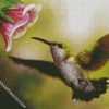 Flying Hummingbird diamond painting