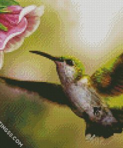 Flying Hummingbird diamond painting