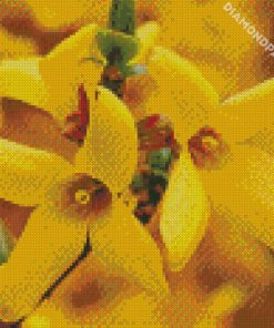 Forsythia Flowers diamond painting