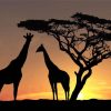 Giraffe Silhouette African Landscape Diamond Painting