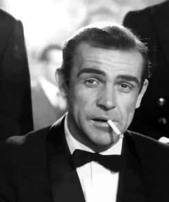 Jame Bond Young Sean Connery Diamond Painting