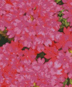 Pink Verbena Flowers Diamond Painting