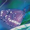 Purple Butterfly diamond painting