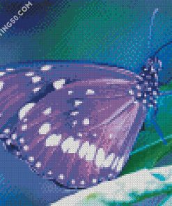 Purple Butterfly diamond painting