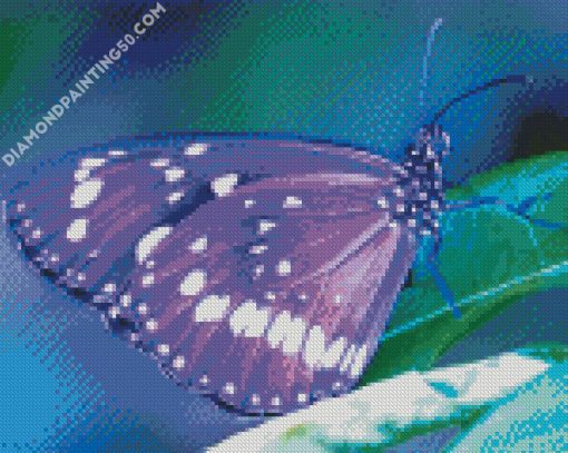 Purple Butterfly diamond painting