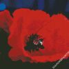 Red Poppy diamond painting