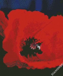 Red Poppy diamond painting