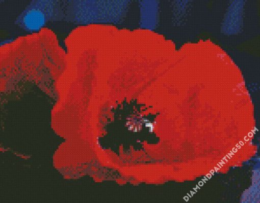 Red Poppy diamond painting