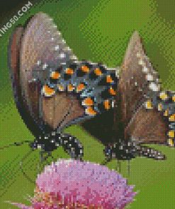 Swallowtail Butterflies diamond painting