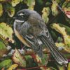 The New Zealand Fantail Bird diamond painting