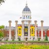 University Of Missouri Mizzou Diamond Painting