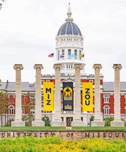 University Of Missouri Mizzou Diamond Painting