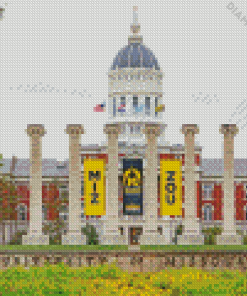 University Of Missouri Mizzou Diamond Painting