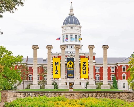 University Of Missouri Mizzou Diamond Painting