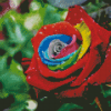 Aesthetic Colorful Rose Flower Diamond Painting