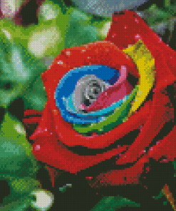 Aesthetic Colorful Rose Flower Diamond Painting