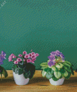 African Violets Diamond Painting