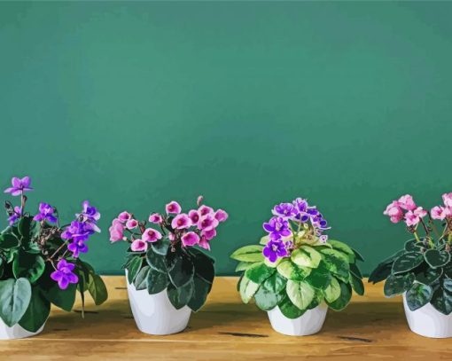 African Violets Diamond Painting