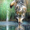 Animal Reflection Wolf Diamond Painting