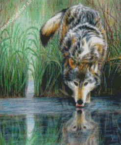 Animal Reflection Wolf Diamond Painting