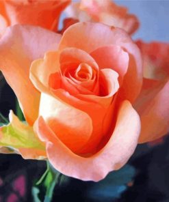 Beautiful Peach Roses Diamond Painting